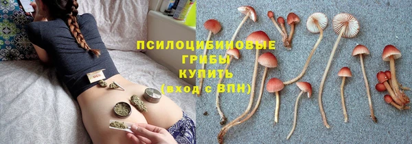 стаф Балахна