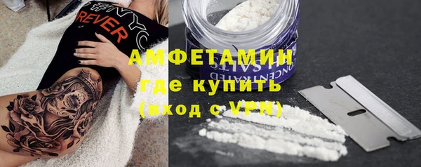 стаф Балахна