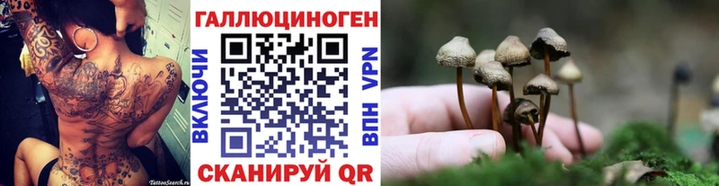 Галлюциногенные грибы Cubensis  продажа наркотиков  Вуктыл 